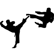 Regler i karate