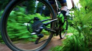 mountainbike träning och budo
